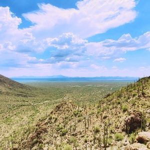 Meet your Posher, Kenny